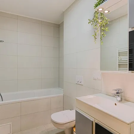 Apartment Elite 303 Brasov